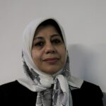 کنشگری سیاسی در جامعه مدنی